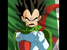 https://image.noelshack.com/minis/2017/46/4/1510845317-vegeta-est-il-algerien-le-dessinateur-de-dragon-ball-super-repond-649.png