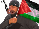 https://image.noelshack.com/fichiers/2017/46/4/1510861707-drappalestine.png