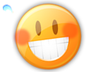 https://image.noelshack.com/fichiers/2017/46/5/1510880051-1510259103-erreur410.png