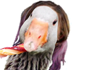 https://image.noelshack.com/fichiers/2017/46/5/1510945278-9905-full.png