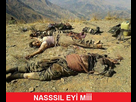 https://image.noelshack.com/minis/2017/46/5/1510953331-pkk1.png