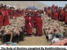 https://image.noelshack.com/minis/2017/46/7/1511105710-rohingya-1-500x361.png