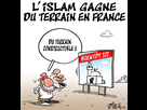 https://image.noelshack.com/minis/2017/47/1/1511172738-islam-france.png
