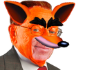 https://image.noelshack.com/fichiers/2017/47/1/1511193026-larry-bandicoot.png