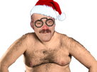 https://image.noelshack.com/fichiers/2017/47/1/1511197370-risi-noel.png