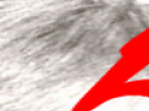 https://image.noelshack.com/minis/2017/47/1/1511203707-1-5kbux0oe.png
