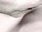 https://image.noelshack.com/minis/2017/47/1/1511203713-17-5kbux0oe.png