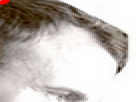 https://image.noelshack.com/minis/2017/47/1/1511203715-11-5kbux0oe.png