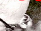 https://image.noelshack.com/minis/2017/47/1/1511203716-10-5kbux0oe.png