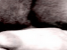 https://image.noelshack.com/minis/2017/47/1/1511203716-38-5kbux0oe.png