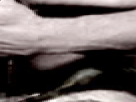 https://image.noelshack.com/minis/2017/47/1/1511203722-46-5kbux0oe.png