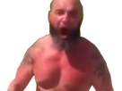 https://image.noelshack.com/fichiers/2017/47/2/1511224680-27895-full.png
