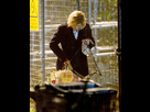 https://image.noelshack.com/fichiers/2017/47/3/1511369483-nintchdbpict000368544757.jpg