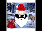 https://image.noelshack.com/minis/2017/47/3/1511375676-loups-riviere-foret-enneigee-maison-198144.png