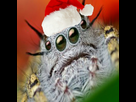 https://image.noelshack.com/minis/2017/47/3/1511377563-img-943.png