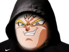 https://image.noelshack.com/fichiers/2017/47/3/1511385862-risitas-capuche-nike-vegeta.png