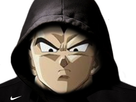 https://image.noelshack.com/minis/2017/47/4/1511425474-hoodiegeta3.png