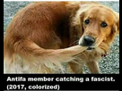 https://image.noelshack.com/minis/2017/47/4/1511432330-f8nbug8xfxwknspqihohqfkbvd08ravnz45myfcljvs.png