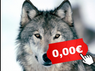 https://image.noelshack.com/minis/2017/47/4/1511436294-1500133766-loupgratuit.png