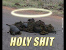 https://image.noelshack.com/minis/2017/47/4/1511448712-holy-shit.png