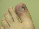https://image.noelshack.com/minis/2017/47/4/1511470054-pied.png
