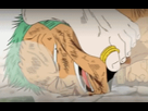 https://image.noelshack.com/fichiers/2017/47/5/1511523026-zoro-serpilliere.gif