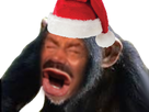 https://image.noelshack.com/minis/2017/47/6/1511604335-1496602541-singeeussou.png