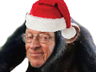 https://image.noelshack.com/minis/2017/47/6/1511604342-1496789273-singerstein.png