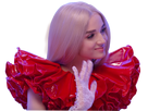 https://image.noelshack.com/minis/2017/47/7/1511662655-poppy6.png