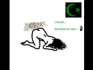 https://image.noelshack.com/minis/2017/47/7/1511664761-1511653535-original.png