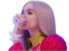 https://image.noelshack.com/fichiers/2017/47/7/1511667082-poppy15.png