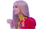 https://image.noelshack.com/minis/2017/47/7/1511667086-poppy13.png