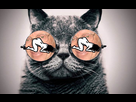 https://image.noelshack.com/minis/2017/47/7/1511696818-chat-comique-gris-lunette-mignon-1280x800-fi1539286x470.png