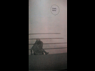 https://image.noelshack.com/fichiers/2017/48/1/1511771345-15117528055082.png