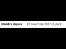 https://image.noelshack.com/fichiers/2017/48/3/1511978694-a.png