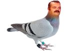 https://image.noelshack.com/fichiers/2017/48/3/1511996160-1481647367-pigeon.png