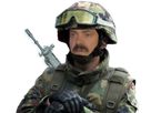https://image.noelshack.com/fichiers/2017/48/4/1512035792-fusillier.png