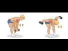 https://image.noelshack.com/minis/2017/48/5/1512124525-musculation-49-panorama-9537454.png