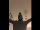 https://image.noelshack.com/minis/2017/48/6/1512179033-img-8414.png