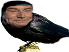https://image.noelshack.com/fichiers/2017/49/1/1512413535-1498153757-corbo.png