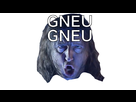 https://image.noelshack.com/minis/2017/49/2/1512433229-gneugneu.png