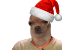 https://image.noelshack.com/fichiers/2017/49/2/1512466753-chien-noel-1.png