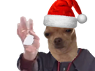 https://image.noelshack.com/fichiers/2017/49/2/1512466756-chien-noel-2.png