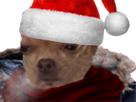 https://image.noelshack.com/fichiers/2017/49/2/1512467554-chien-noel-3.png
