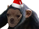 https://image.noelshack.com/fichiers/2017/49/2/1512468164-chien-noel-4.png