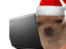 https://image.noelshack.com/fichiers/2017/49/2/1512468531-chien-noel-5.png