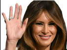 https://image.noelshack.com/fichiers/2017/49/4/1512663622-melania-1.png