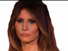 https://image.noelshack.com/minis/2017/49/5/1512768508-melania-9.png