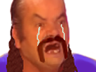 https://image.noelshack.com/minis/2017/49/6/1512775395-1512652917-beauf-gueule-3.png