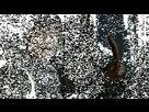 https://image.noelshack.com/minis/2017/49/6/1512825941-ramsay-sausage-gif.png